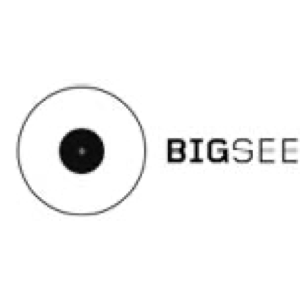 BIGSEE Award